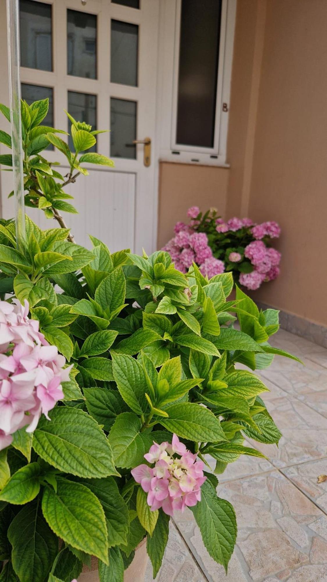 Apartment Lucka Rab Town Bagian luar foto